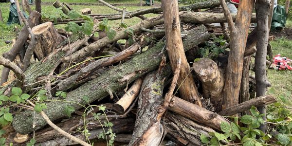 Projekt Wildbienenwiese Protschenberg, 21.10.23